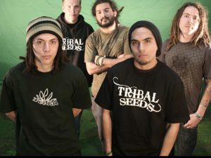 TRIBAL_SEEDS2