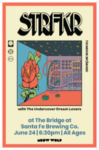 STRFKR_PrintPoster STRFKR_PrintPoster
